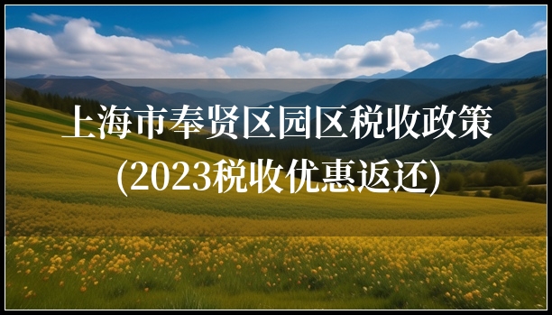 上海市奉贤区园区税收政策(2023税收优惠返还)