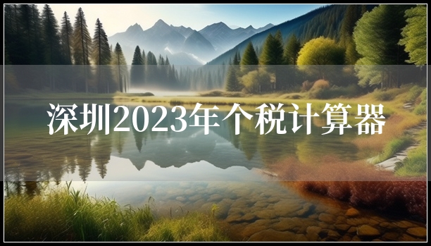 深圳2023年个税计算器